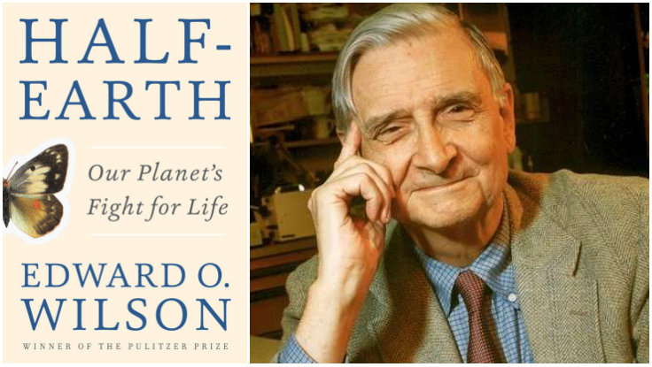 First Look: Edward O. Wilson’s New Book, <em>Half-Earth</em>